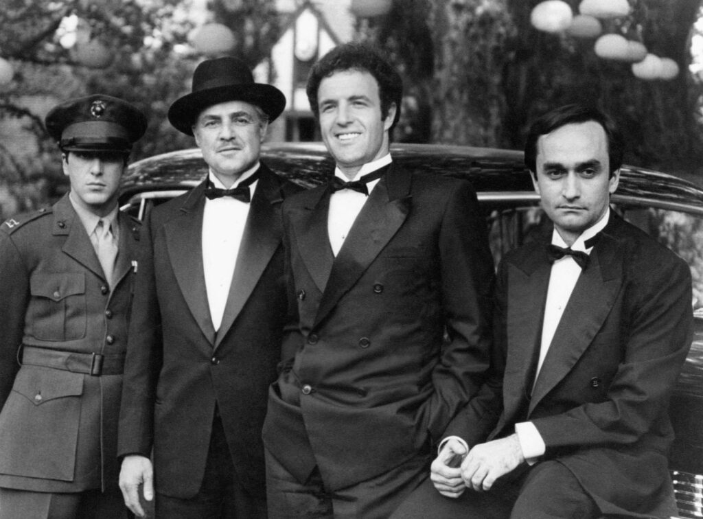 The Godfather Fans Don Corleone Family